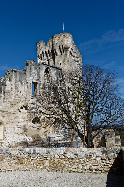 Abbaye de Montmajour-046